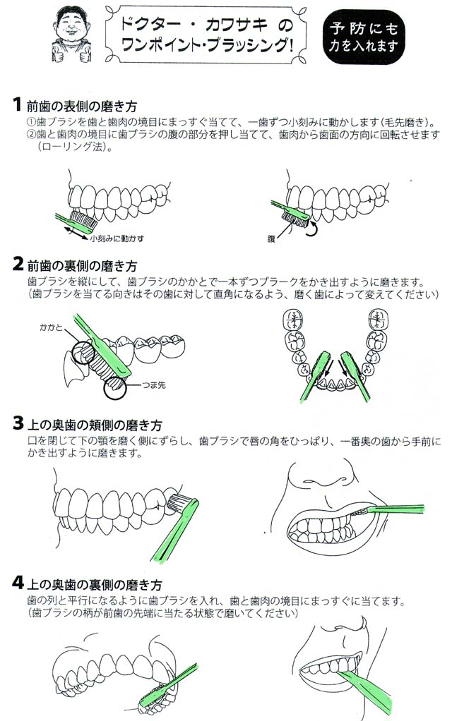 ドクター・カワサキのワンポイント・ブラッシング