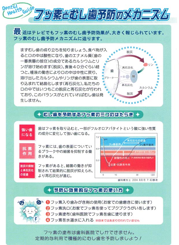 フッ素とむし歯予防のメカニズム