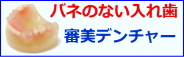 バネの無い入れ歯　審美デンチャー